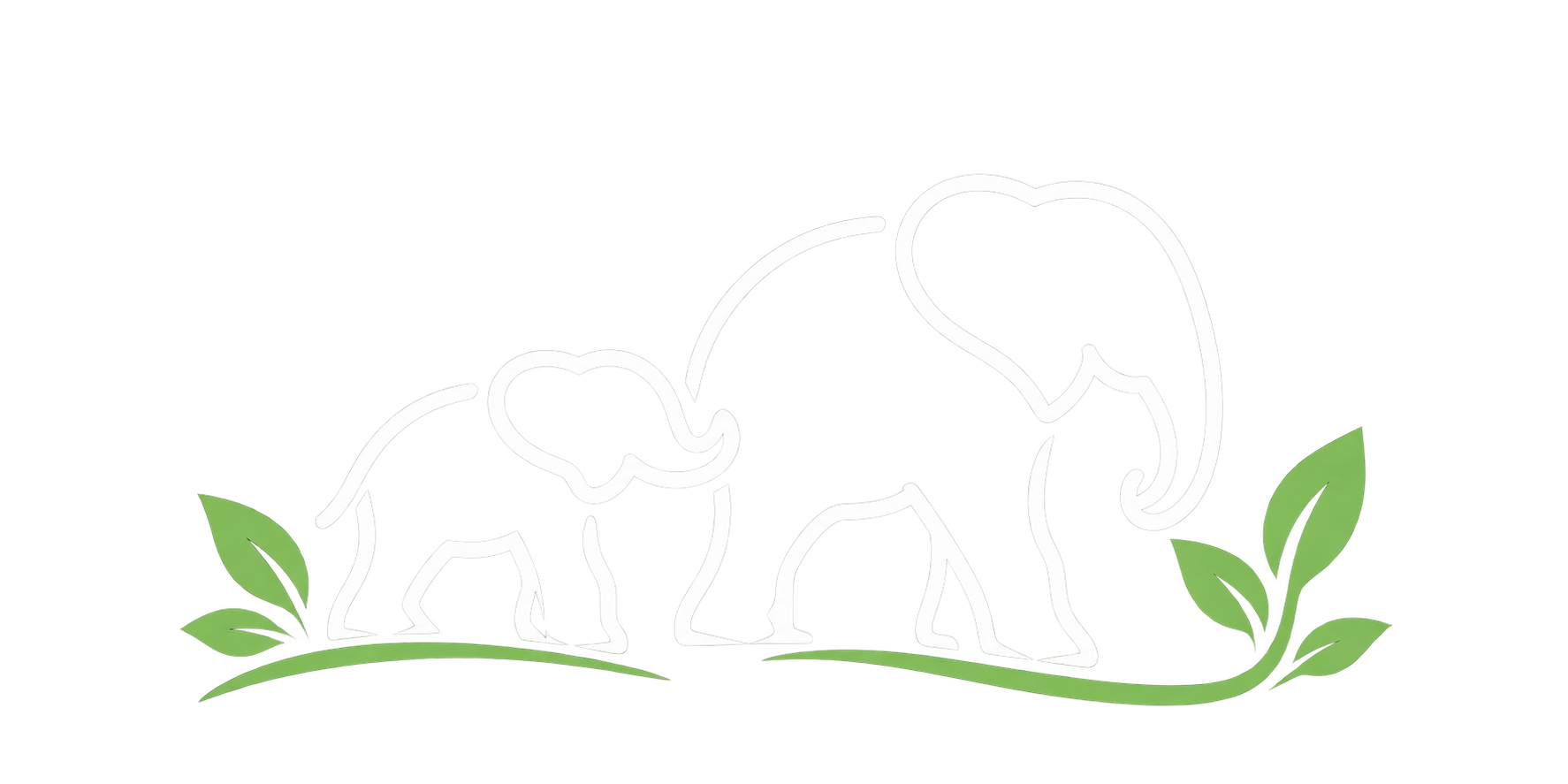 elephanttrails
